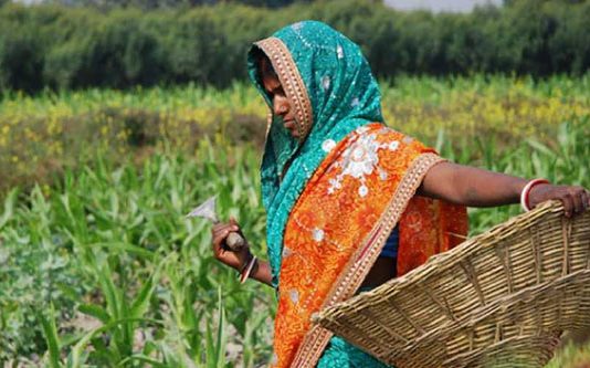 ஆசைக்கு இணங்கினால் கடன்! விவசாயி மனைவி மீது ஆசைப்பட்ட வங்கி மேலாளர்!!