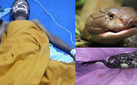 நள்ளிரவில் சிறுவனுக்கு காத்திருந்த பேராபத்து: உயிர் போகும் இறுதி தறுவாயில் நடந்த அதிசயம்! மகிழ்ச்சியின் உச்சத்தில் குடும்பத்தினர்!!