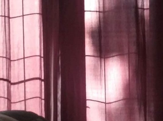 ஆவியாக வந்த வளர்ப்பு நாய்: பெண்மணியின் சிலிர்ப்பான அனுபவம்!!