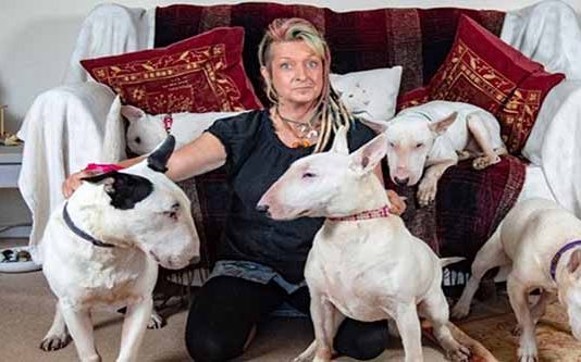 கணவனை விடவும் நாய்களே பெரிது!!