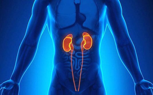 அண்ணனுக்கு சிறுநீரகம் கொடுக்க உயிர் தியாகம் செய்த தம்பி: பின்னர் நடந்த சோகம்!