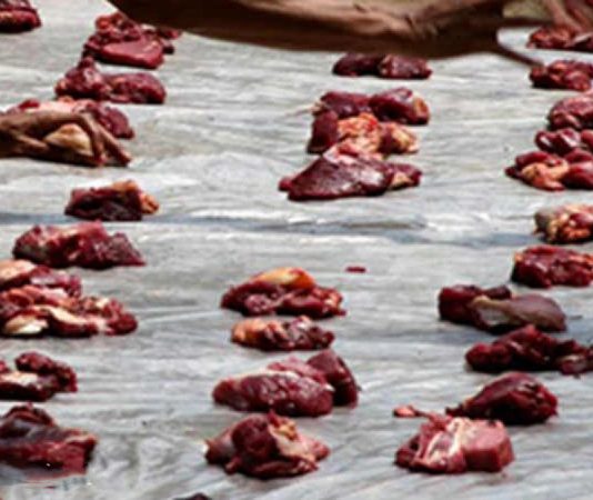 வானத்தில் இருந்து கொட்டிய இறைச்சி துண்டுகள்… வியக்க வைக்கும் விசித்திர மழை…