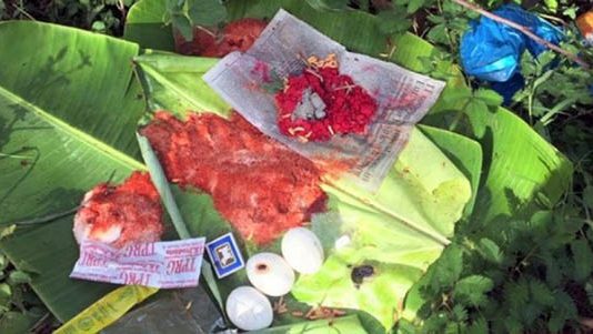 நரபலி கொடுக்கப்பட்ட சகோதரர்கள் : அதிர்ச்சியூட்டும் பின்னணி தகவல்கள்!!