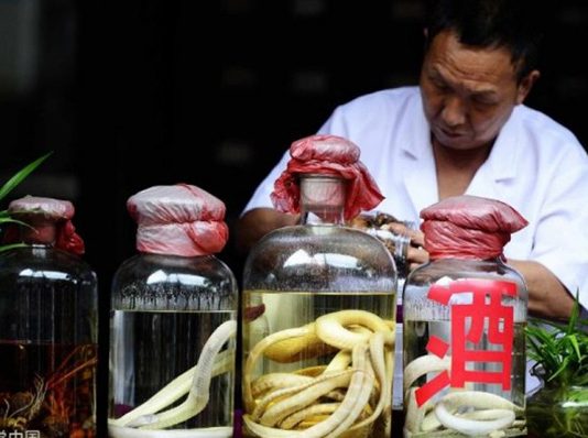 ஒயின் தயாரிப்பதற்காக ஆன்லைனில் பாம்பு வாங்கிய பெண்: அடுத்து நடந்த பரிதாப சம்பவம்