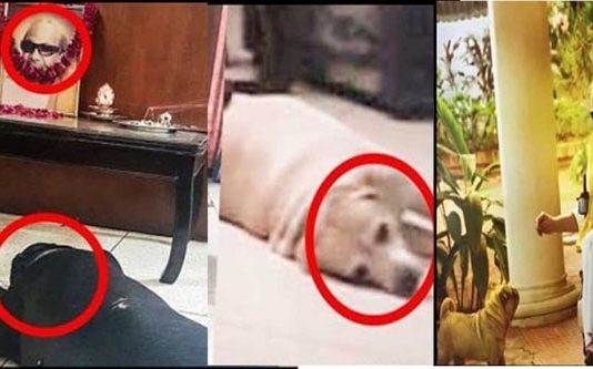 கல் நெஞ்சம் படைத்தவர்களையும் கரைய வைக்கும் கருணாநிதியின் வீட்டில் நடக்கும் காட்சி!!