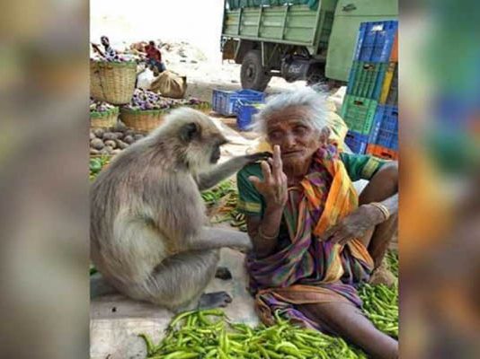பார்ப்பவர்களின் மனதை உலுக்கிய ஒரே ஒரு புகைப்படம்!!