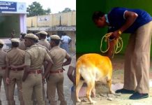 துண்டாக கிடந்த மகனின் தலை.. கதறி அழுத தாய் : ஊருக்கு நடுவே நடந்த துணிகர கொலை!!