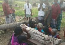 அம்மா… .என்னை தனியா விட்டுட்டு போகாதே என்று கெஞ்சிய சிறுமி : கஜா புயலின் கோரத்தில் சிறுமிக்கு நடந்த கொடுமை!!