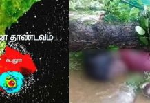 தமிழகத்தில் பலரின் உயிரை வாங்கிய கஜா புயல் : அனைவரையும் கண்கலங்க வைத்த புகைப்படம்!!