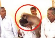 தந்தை இறந்த சோகத்தில் இருந்த மகன்… ஆறுதல் கூறி தலையை வருடிய குரங்கு : நெகிழ்ச்சி சம்பவம்!!