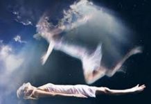 நீங்கள் அடுத்த ஜென்மத்தில் எந்த உயிரினமாக பிறப்பீர்கள் தெரியுமா? ஆச்சர்யமான தகவல் இதோ!!