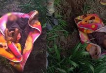 கடும் குளிரில் உயிருடன் புதைக்கப்பட்ட பச்சிளம் குழந்தை : பதைபதைக்க வைக்கும் சம்பவம்!!