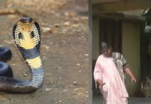 கணவர் இறந்த அதிர்ச்சியில் ஊமையான பெண் : 2 ஆண்டுகள் கழித்து பாம்பை பார்த்ததும் பேசிய அதிசயம்!!