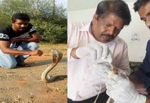 கொடிய விஷம் கொண்ட பாம்பை பிடித்து அதற்கு பார்வை வரவைத்த இளைஞன் : நெகிழ்ச்சி சம்பவம்!!