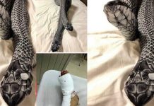 பாம்பு போன்று உடை அணிந்திருந்த மனைவியின் கால்களை பதம் பார்த்த கணவன் : நடந்த வினோத சம்பவம்!!