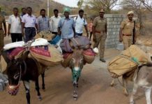தமிழ்நாடு வாக்குப் பதிவு : கழுதையில் சென்ற வாக்கு இயந்திரங்கள்!!