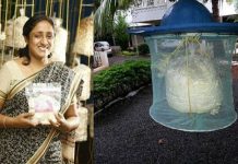 காளான் வளர்ப்பில் மாதம் ஒரு லட்சம் சம்பாதிக்கும் பெண் : விடாமுயற்சிக்கு கிடைத்த வெற்றி!!