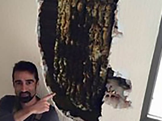 தினம்தோறும் நள்ளிரவில் கேட்ட விசித்திர சத்தம் : சுவற்றை உடைத்த தம்பதிக்கு காத்திருந்த ஆச்சர்யம்!!