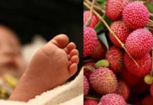 96 குழந்தைகளின் உயிரை பறித்தது லிச்சி பழம்? ஒரே மாநிலத்தில் தொடரும் இறப்பு!!