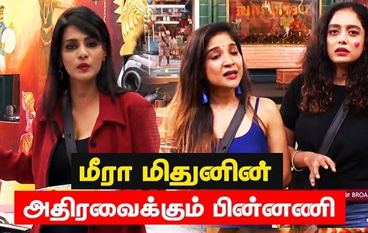 பிக்பாஸ்-3யின் புதிய போட்டியாளர் மீரா மிதுனின் உண்மை முகம் இதுதானா?