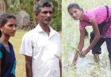 தனியாளாய் ஒரு ஏக்கரில் நடவு நட்ட மாணவி : குவியும் பாராட்டுக்கள்!!