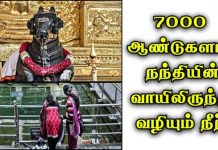உலக விஞ்ஞானிகளை ஆச்சரியத்துடன் திரும்பிப் பார்க்க வைத்த அதிசயம்!!