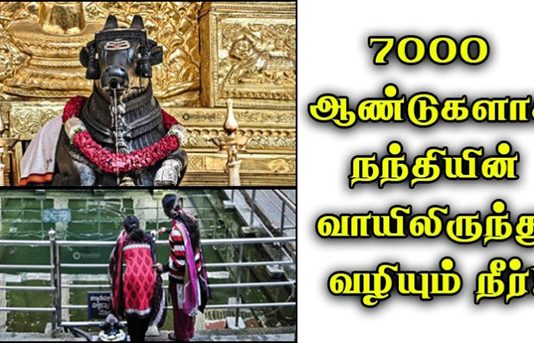 உலக விஞ்ஞானிகளை ஆச்சரியத்துடன் திரும்பிப் பார்க்க வைத்த அதிசயம்!!