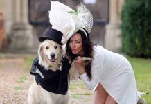 பாதியில் நின்று போன திருமணங்கள் : விரக்தியில் நாயை திருமணம் செய்யும் மொடல் அழகி!!