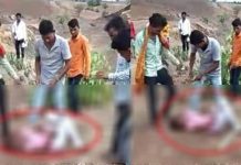 தங்கைக்கு அண்ணன்களால் நேர்ந்த கொடூரம் : வைரலாகும் அதிர்ச்சி வீடியோ!!