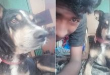 கொல்ல வந்த மர்ம நபர்கள் : எஜமானை காப்பாற்ற உ யிரைவிட்ட நாய்!!