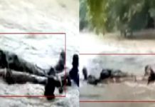 வெள்ளத்தின் நடுவே சடலம் .. போராடும் உறவுகள் : நெஞ்சைப் உருக்கும் காட்சி!!