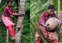 பனையேறி கள் இறக்கும் முதல் கேரள பெண் : துணிச்சலுக்கு கிடைத்த பாராட்டு!!