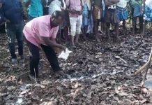5 வயது சிறுமியை கொ லை செய்துவிட்டு செய்த செயல் : விசாரணையில் அதிர்ச்சித் தகவல்!!