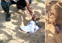 பெண்ணாக பிறந்ததால் கொ ன்று பு தைத்தேன் : தந்தை கை து!!