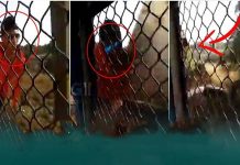 ஓடும் ரயிலில் வெளியே தொங்கிய படி சாகசம் : கம்பத்தில் பட்டு சிதறிய இளைஞன்!!