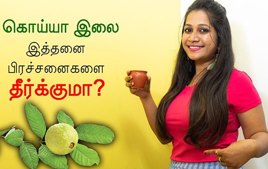 கொய்யா இலையில் டீ போட்டு குடித்தால் இவ்வளவு அற்புத பயனா? : படித்துப் பாருங்கள்!!