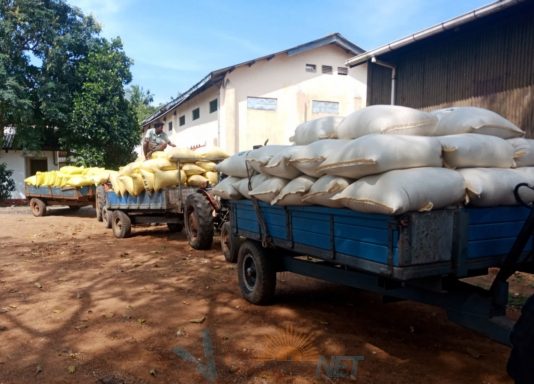 வவுனியாவில் ஒரு கிலோ நெல் 50 ரூபாவிற்கு கொள்வனவு!!