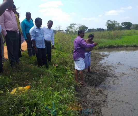 வவுனியாவில் கைவிடப்பட்ட வயற்காணிகளில் பயிர்ச்செய்கை ஆரம்பித்து வைப்பு!