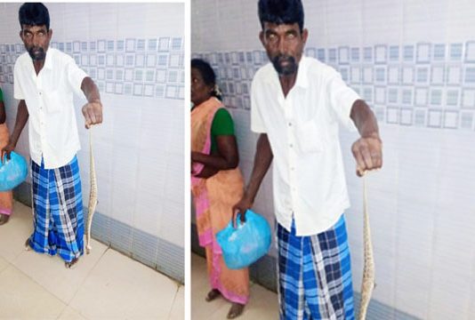 கடித்த பாம்பை பையில் போட்டு மருத்துவமனைக்கு எடுத்து சென்ற தொழிலாளி : ப தறிய மருத்துவர்கள்!!