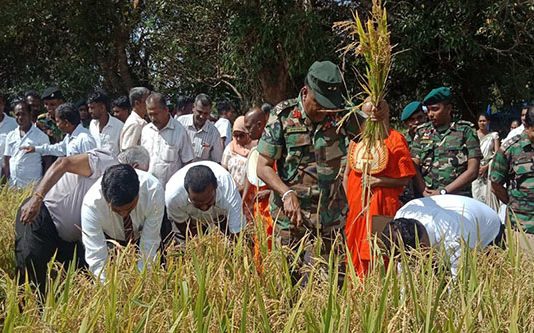 வவுனியாவில் சிறப்பாக இடம்பெற்ற வயல் விழா!!