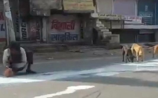 ஊரடங்கு உத்தரவால் அவலம் : தெரு நாய்களுடன் பாலை பகிர்ந்து கொண்ட மனிதர் : கொடூர சம்பவம்!!