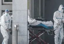 கொரோனாவால் உ யி ரி ழந் தோ ரின் உ ட ல் களை தின்ற எலிகள்.. சோ க ச ம் பவ ம்!!