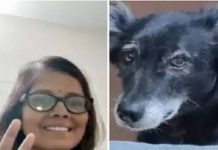 உயிராக வளர்த்த உரிமையாளர் மரணம் : சோகத்தில் த ற்கொ லை செய்துகொண்ட நாய்!!
