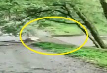 வெ ளுத்து வா ங்கிய க னமழையில் அ சால்ட்டாக அ டித்துச் செல்லப்பட்ட பாலம்…! தீ யாய் ப ரவும் அ திர்ச்சி காட்சி!!