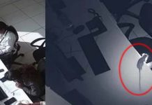 எலி செய்த அ நி யாயம்…. சிசிடிவி காட்சியை பார்த்து அ திர்ந்து போன ஓனர்! கோ டி க் கண க்கில் ஏற்பட்ட ந ஷ் டம்..!