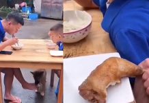 மகனுக்கு து ரோகம் செய்து விட்டு ஏ மாந்து போன தந்தை! இறுதியில் பாசக்கார நாய் குட்டியால் கிடைத்த ப திலடி!