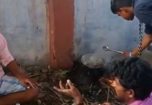 பா ம் பை வெ ட்டி ச மை த் து சாப்பிட்ட இ ளை ஞர் கள்: வை ர லான வீ டி யோ காட்சிகள்!!