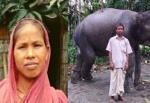 மனைவியின் கனவில் வந்த யானை… பாசக்கார கணவர் செய்த காரியத்தைப் பாருங்க!!