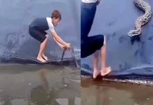 நீரில் இருந்த பா ம் பை து ன் பு று த் திய இ ளை ஞ ரு க்கு நே ர் ந் த வி ப ரீ த ம்! ச மூ க வ லை த ளத் தில் ப ர வு ம் காணொளி!!