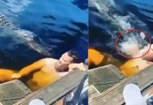 இரண்டு மு த லை களுடன் ஜாலியாக குளித்த நபர்; அ தி ர் ஷ்டவ சமாக உ யிர் த ப் பிய தி க் திக் நிமிடம்!